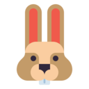 rabbit,bunny,animals,pet,wild life,animal kingdom,animal,rodents
