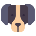 animals,mammal,pet,animal kingdom,dog,dog nose,pets