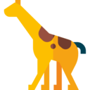 animals,mammal,nature,wild life,animal kingdom,zoo,animal,giraffe