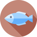 food,food and restaurant,diet,fish,animal,sea ok 