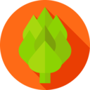 food and restaurant,organic,nature,beer,plant,hop ok 