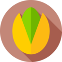 vegan,food and restaurant,vegetarian,snack,pistachio ok 