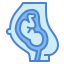 Maternity icon 64x64