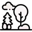 winter,nature,snow,park,garden,yard,woods,forest,snowflake,pines,pine tree