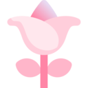 nature,botanical,flower,blossom,petals