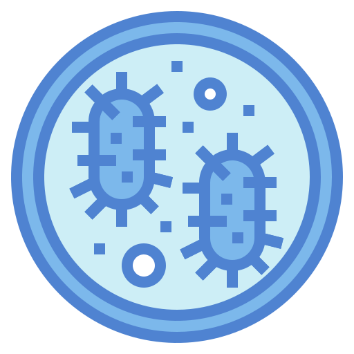 Bacteria