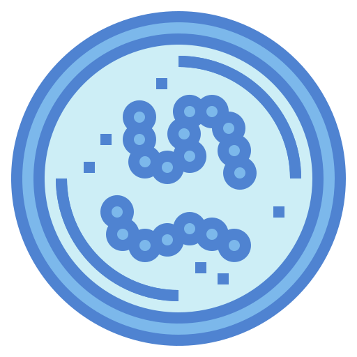 Bacteria