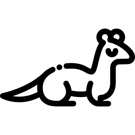 Ermine