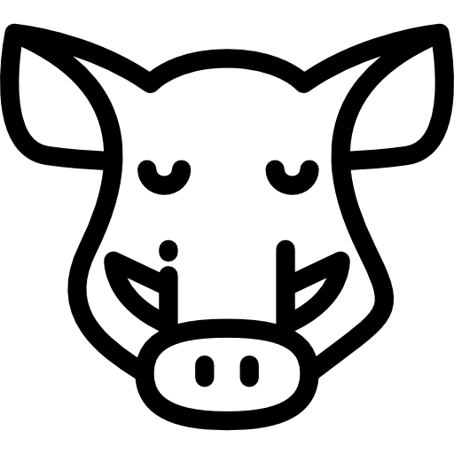 Boar