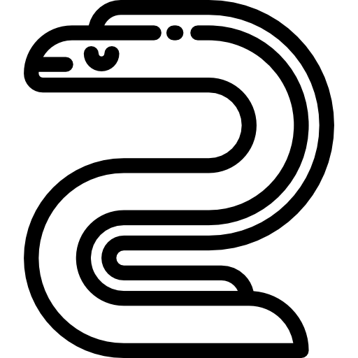 Eel
