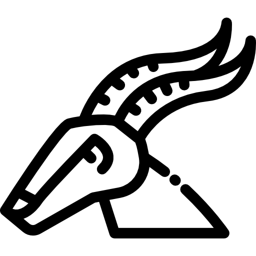 Antilope