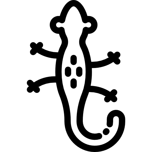 Salamander