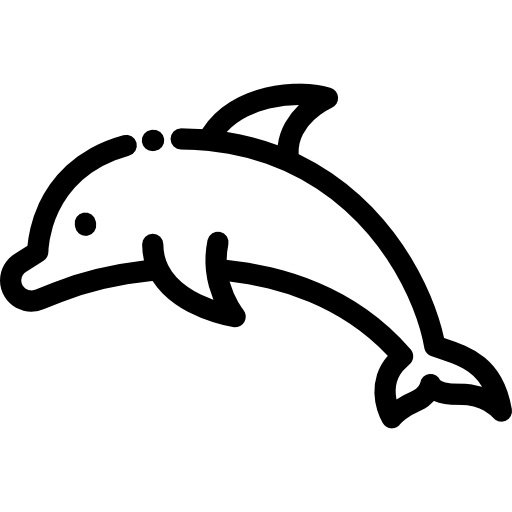 Dolphin