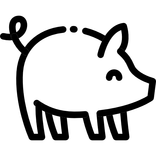 Pig
