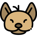 animals,mammal,wildlife,animal kingdom,zoo,animal,africa,wild,hyena
