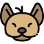 Favicon