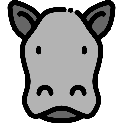 Hippopotamus