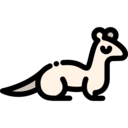 animals,wild life,animal kingdom,zoo,animal,ermine
