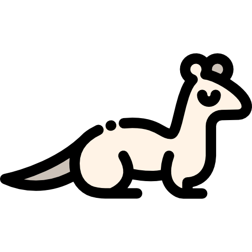 Ermine