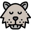 animals,wild life,animal kingdom,zoo,animal,wolverine