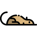 animals,wild life,animal kingdom,zoo,animal,shrew ok 