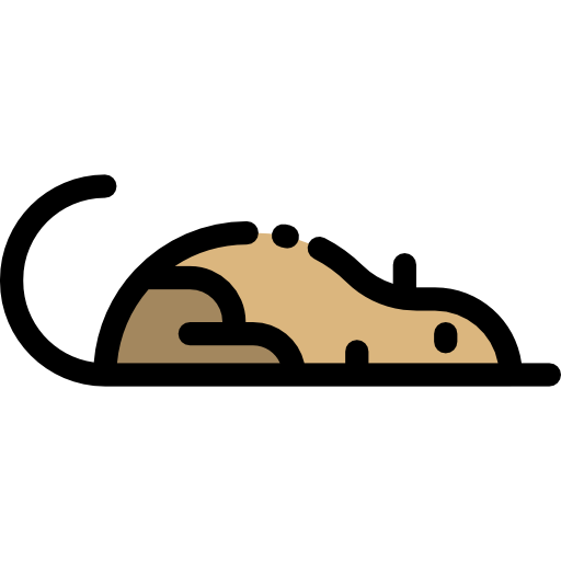 Shrew