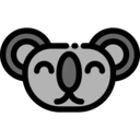 animals,mammal,wildlife,animal kingdom,zoo,koala,marsupial