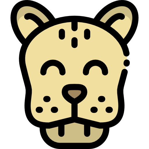 Cheetah