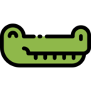 animals,wildlife,animal kingdom,zoo,reptile,animal,wild,crocodile