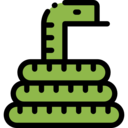animals,wild life,animal kingdom,zoo,snake,reptile ok 