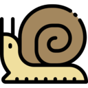 animals,wildlife,animal kingdom,animal,snail ok 