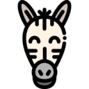 animals,mammal,wild life,animal kingdom,zoo,animal,zebra ok 