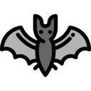 animals,wild life,animal kingdom,zoo,animal,bat ok 
