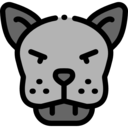 animals,wild life,animal kingdom,zoo,animal,panther