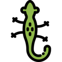 animals,animal kingdom,reptile,animal,reptiles,salamander