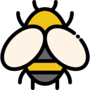 animals,wildlife,bee,animal,insect,wild,wings