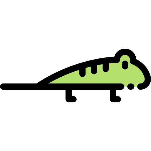 Lizard