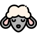 animals,mammal,wildlife,animal kingdom,animal,farm,farming,mammals,sheep,sheeps
