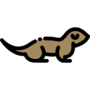 animals,wild life,animal kingdom,zoo,animal,otter