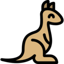 animals,animal kingdom,animal,kangaroo