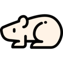 animals,wildlife,animal kingdom,animal,hamster,Rodent