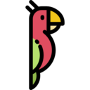 animals,wild life,animal kingdom,zoo,bird,animal,parrot