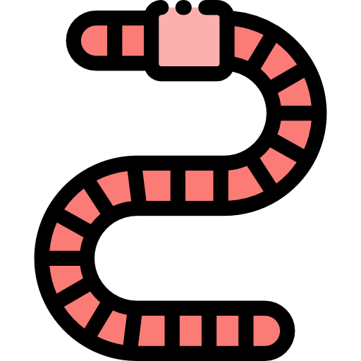 Worm