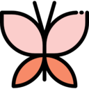 animals,nature,animal kingdom,animal,insect,wings,butterfly,pretty
