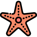 animals,animal kingdom,aquarium,sea life,animal,aquatic,ocean,starfish