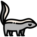 animals,wild life,animal kingdom,zoo,animal,skunk ok 