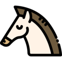 animals,mammal,wildlife,animal kingdom,zoo,animal,horse ok 