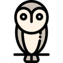 animals,wild life,animal kingdom,bird,animal,owl,hunter ok 