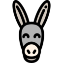 animals,wild life,animal kingdom,zoo,animal,donkey,donkey kong