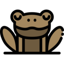 animals,animal kingdom,animal,biology,amphibian,toad,toads,frogs